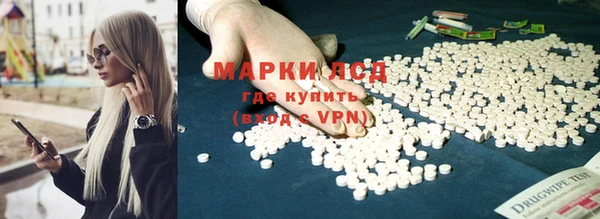 спайс Няндома