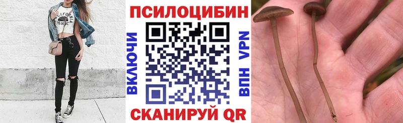 наркота  Усолье-Сибирское  площадка формула  Галлюциногенные грибы Psilocybe 