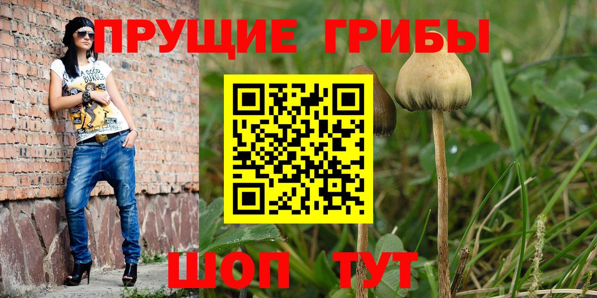 Псилоцибиновые грибы мицелий  Вход с VPN  Усолье-Сибирское 