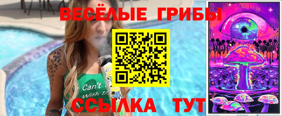 Галлюциногенные грибы Magic Shrooms Усолье-Сибирское