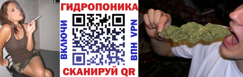 Бошки Шишки ГИДРОПОН  Усолье-Сибирское 